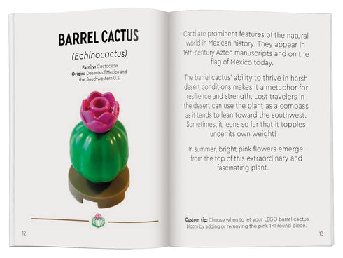 LEGO BOTANICALS: TINY DESERT GARDEN